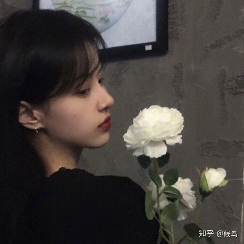 成年人卑微的安全感