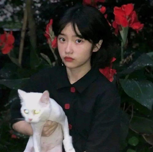 换上情侣头像,你就是我的人了