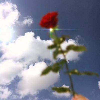 人算不如天算,5月苦尽甘来,年前满堂彩,闷声不吭发大财