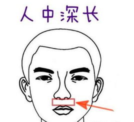 生活中哪些女人是非常痴情的然我通过面相来告诉你