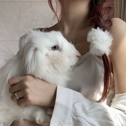 冬季高级温柔女头像