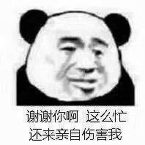 每日搞笑谁想出来的沙雕段子
