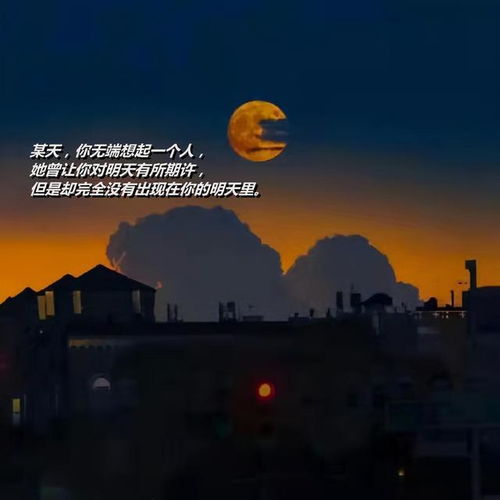 落日与晚风网易云热评你很特别,我很喜欢