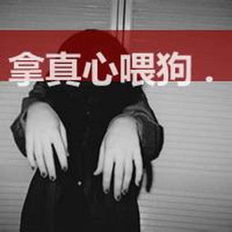 为人超酷的我,最爱的一个字网名野