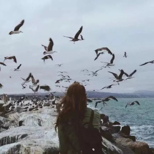 海边唯美女生背影头像我就站这不动谁走向我我就爱谁