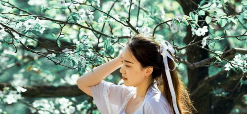 惟愿做一个安静的女子,在角落深处寂然开放