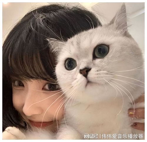 心理学家对男人来说,越高冷的女人,越有吸引力