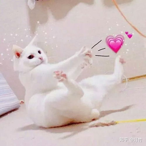 新版微信页面怎么置顶文字