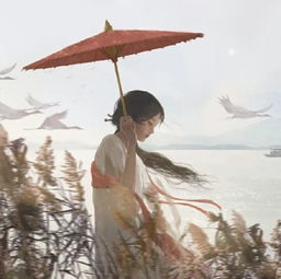 ins锁屏壁纸想人间婆娑,全无着落看万般红紫,过眼成灰