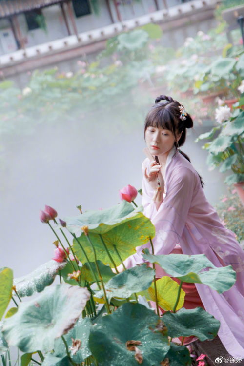 徐娇晒古风照美若仙女,穿粉色长裙置身薄雾中仙气十足