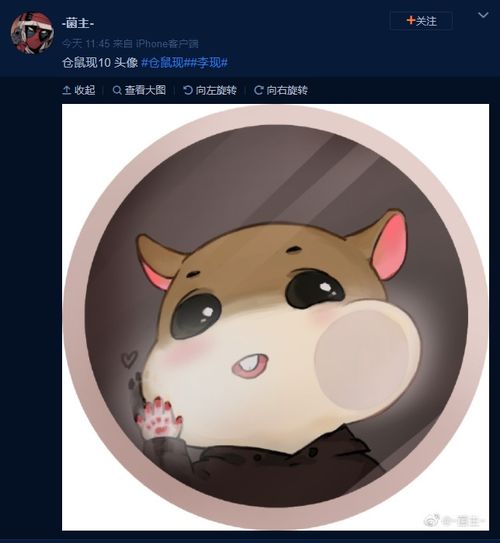 今日优秀饭绘分享专属天现宝宝的李现仓鼠头像来袭