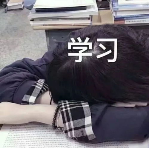 学习头像新学期从换一个励志的头像开始吧