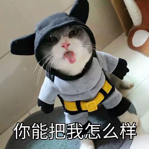 收藏夹