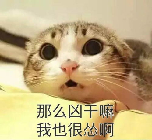 男默女泪网红爆款美容仪大盘点