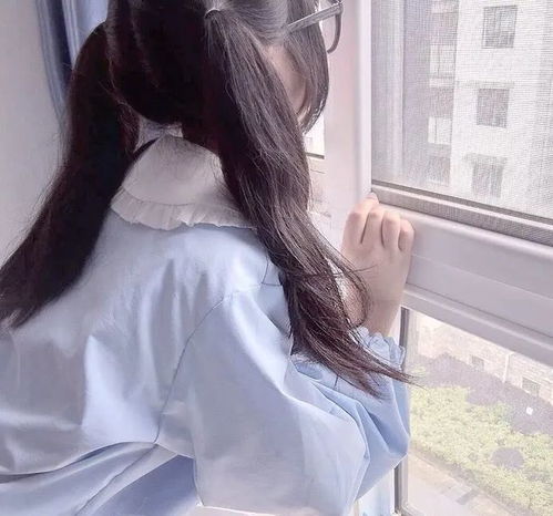 无标题