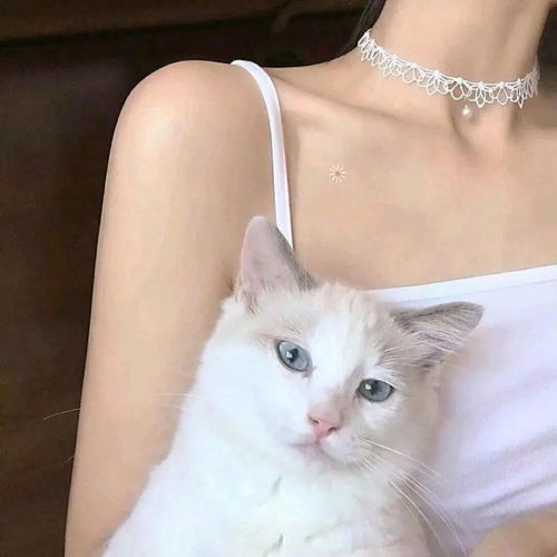 偷偷告诉你和你好姐妹来换闺蜜头像