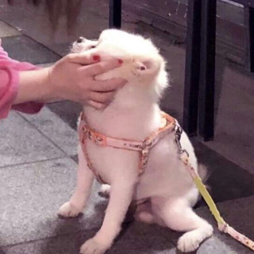 有哪些好看的情头推荐