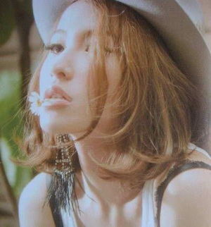 董洁范冰冰刘诗诗孙俪女星绝美侧脸大pk