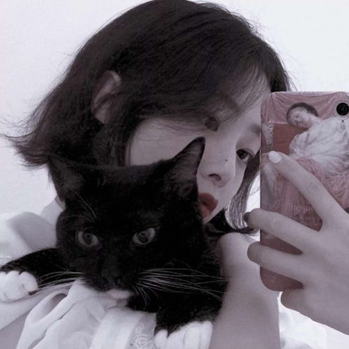 森林玫果,女生头像