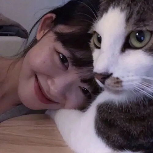 猫系女头抱猫系列