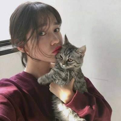 可爱呆萌的吸猫女生头像好看的女生和猫咪合照头像