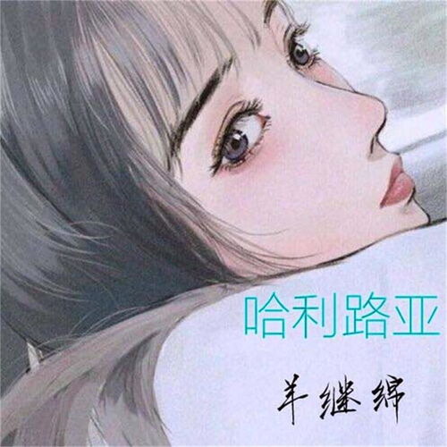 哈利路亚羊继绵高音质在线试听哈利路亚歌词歌曲下载酷狗音乐