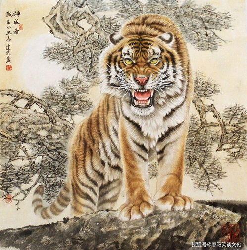 改掉脾气坏,爱偷懒,会平步青云,一鸣惊人的生肖