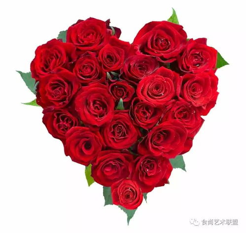 赠人玫瑰,手留余香