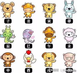 十二生肖最关键运势布局三合六合局
