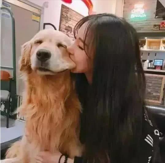 女生养狗被男生拒绝,颜值和居家满分的姑娘我要狗不要人