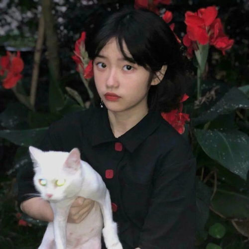 含蓄表明喜欢一个人文案