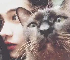 清新的女头像高清大生肖