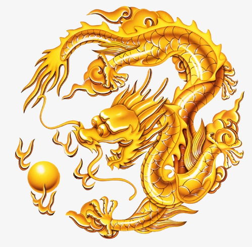 金色龙纹图案素材图片免费下载高清边框纹理psd千库网图片编号65002