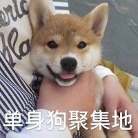 表情头像