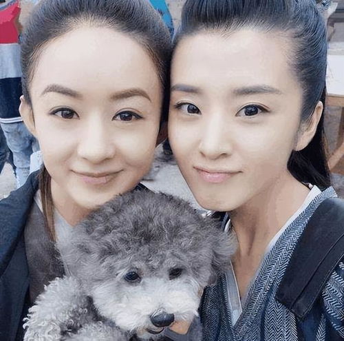 知恩图报赵丽颖,因一饭之恩铭记于心,爆红后力捧张睿女友