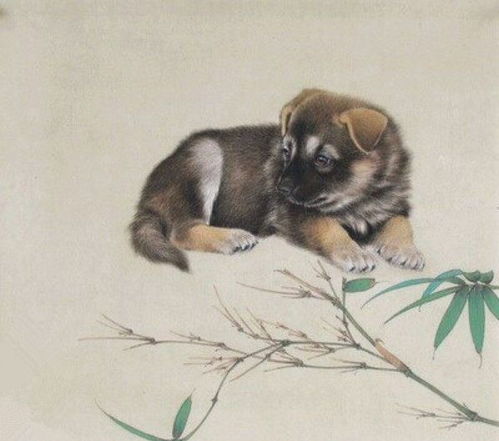 看了这篇文章,明年再也不用担心运势不好了