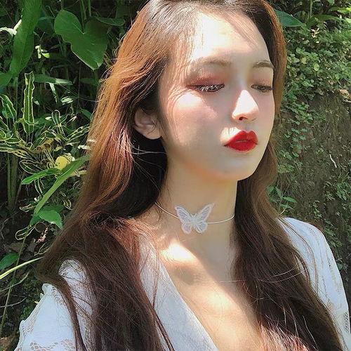 超仙女ins蕾丝蝴蝶项链简约锁骨链复古气质闺蜜同款项圈百搭颈链