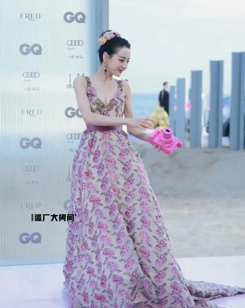 美女明星迪丽热巴2