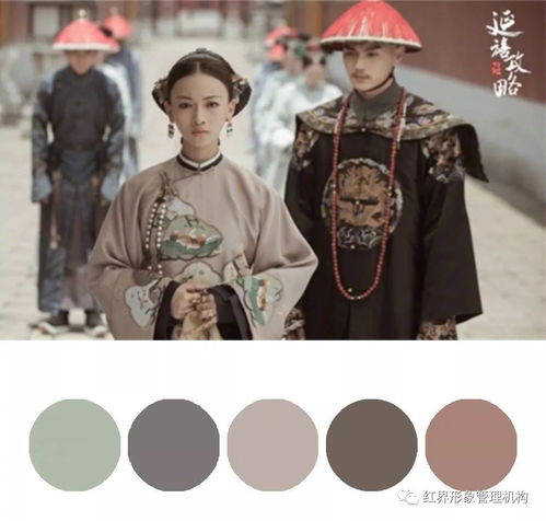 为什么这个剧那么火