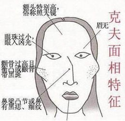旺夫之女人人渴望,但有这几种面相特征的女人,命中克夫,财运差