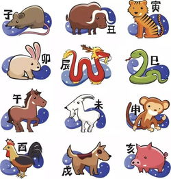 从属相看人,越看越准