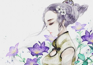 插画家园插画家园插画家园桔梗插画家园