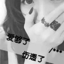 我要稳稳的wifi视频直播全集我要稳稳的wifi资料大全yy官方