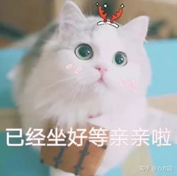 女人在男人面前成熟比幼稚更让人喜爱吗