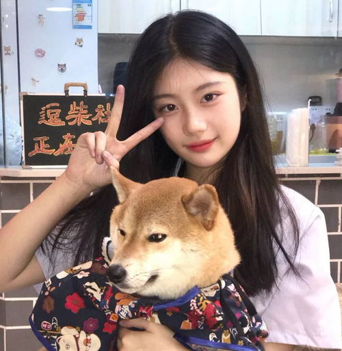 私藏很久的高级小众文案