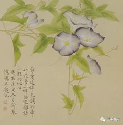 女性微信字画像头像原稿