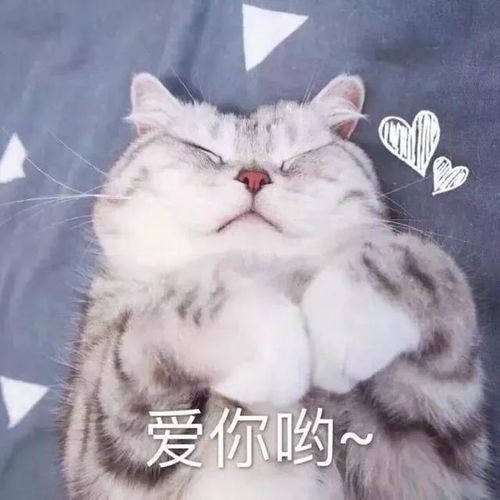 男女个性头像,昨天,今天,明天