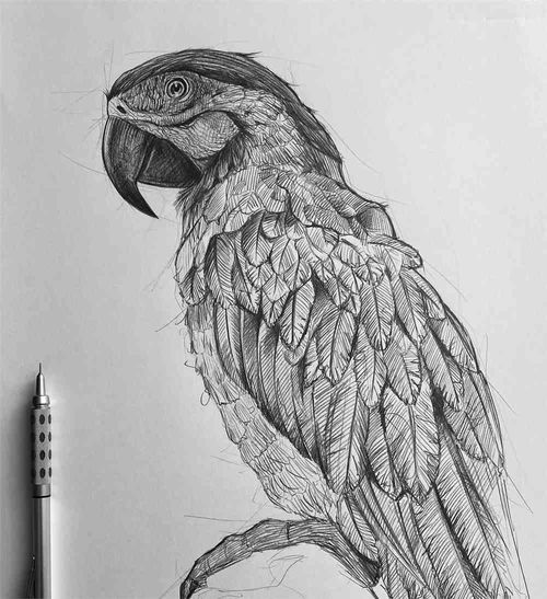 精美素描头像,意大利画家尤苏波夫