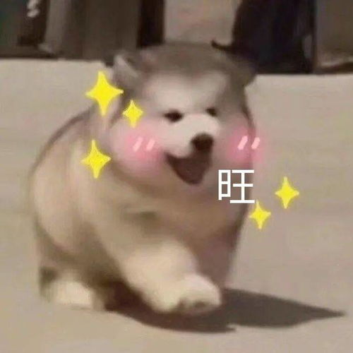 2021祝你