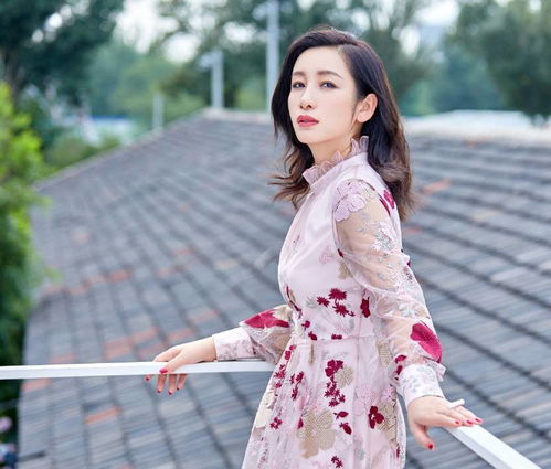 秦海璐儿子都四岁了,换上粉色刺绣纱裙还美成少女,真不像41岁